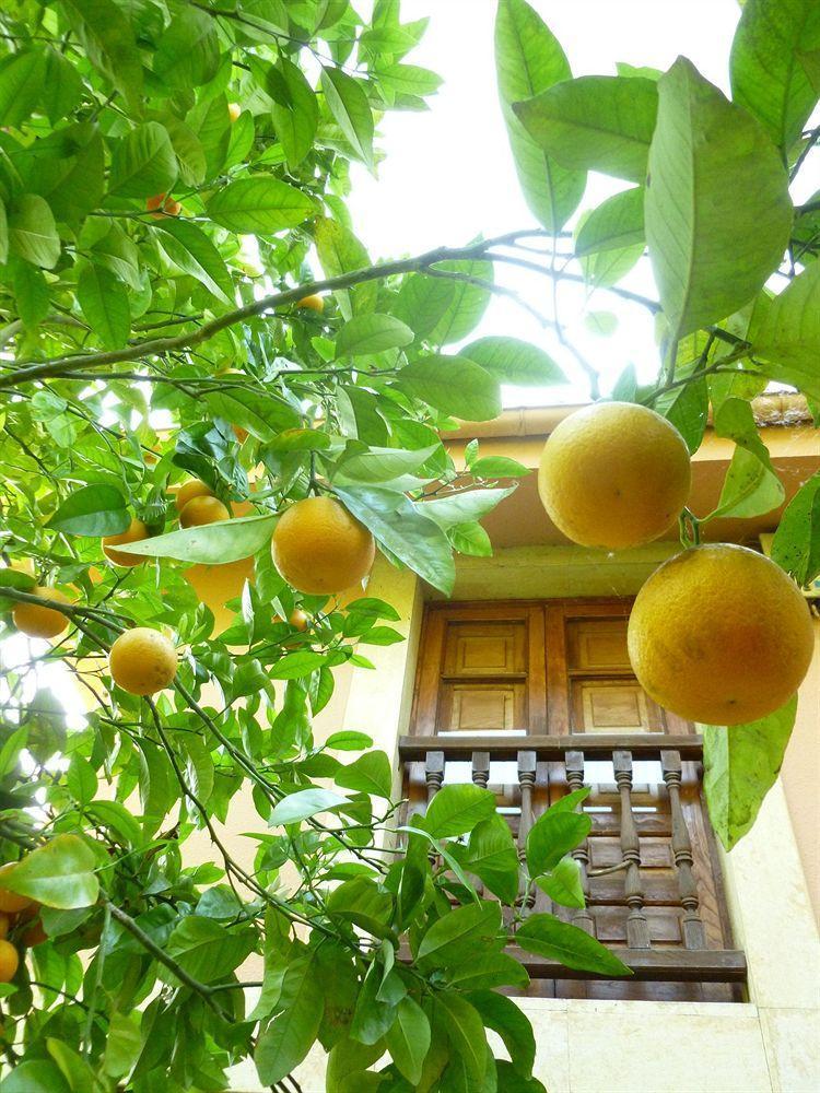 Hotel Rural La Balconada Ов'єдо Екстер'єр фото